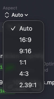 The Aspect menu — Auto, 16:9, 9:16, 1:1, 4:3, 2.39:1
