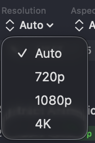 The Resolution menu — Auto, 720p, 1080p, 4K
